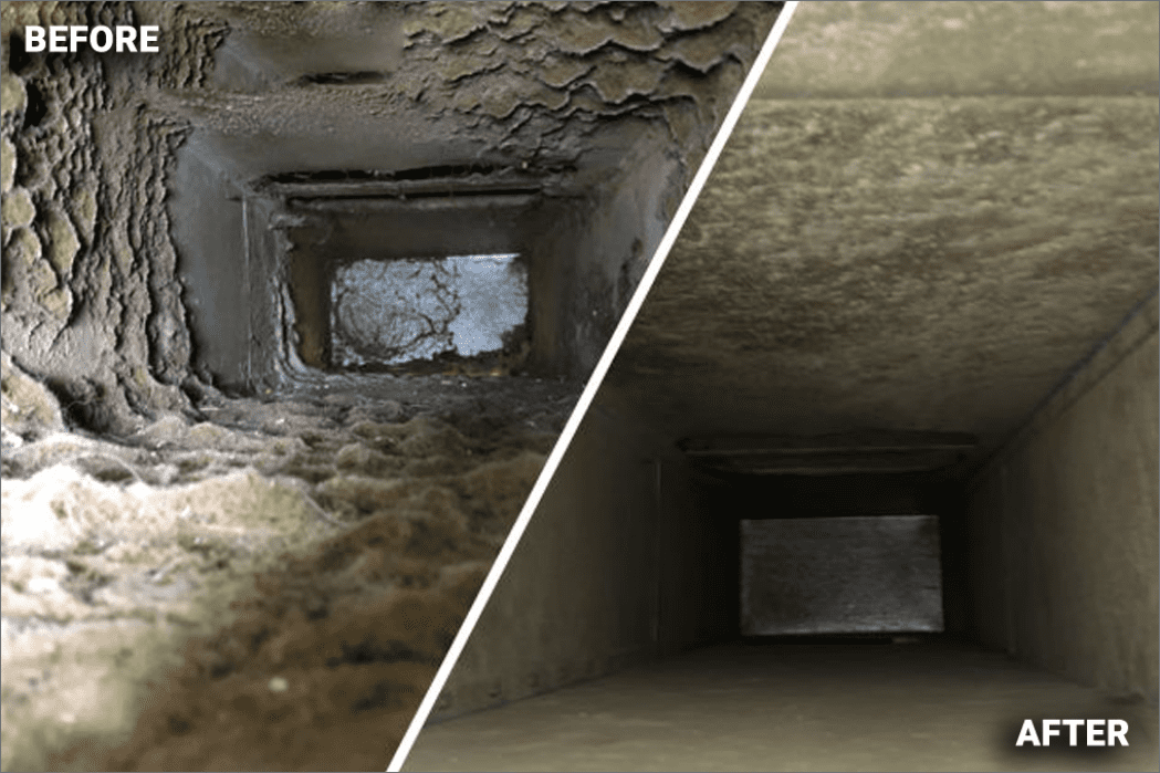 control de contaminación (img9)