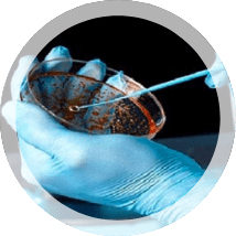 control de contaminación (industrial)