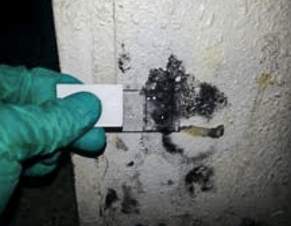 control de contaminación (muestras ambientales)